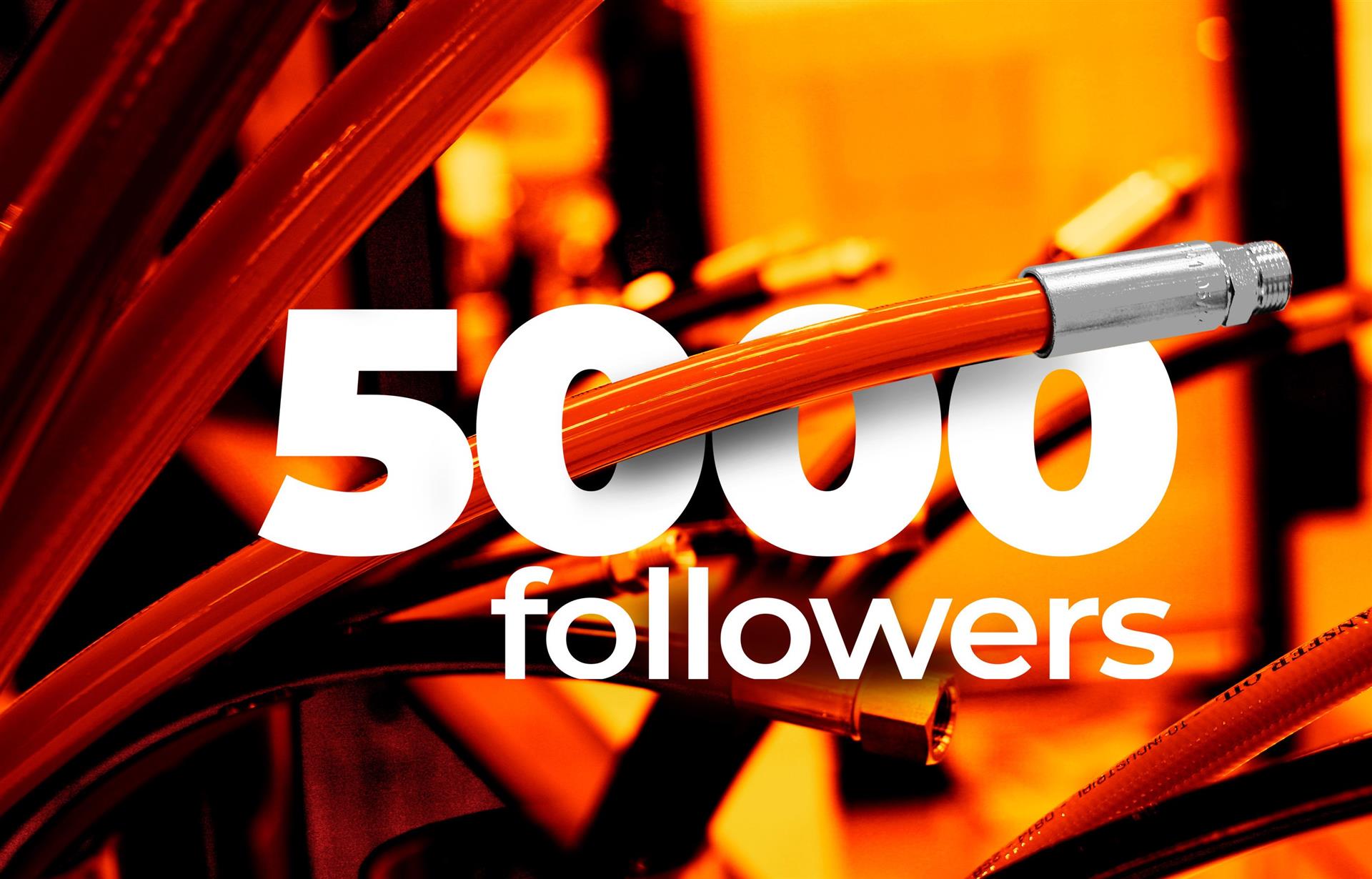 5.000 follower su LinkedIn