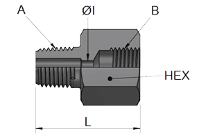 Male NPT | Female GAS 120